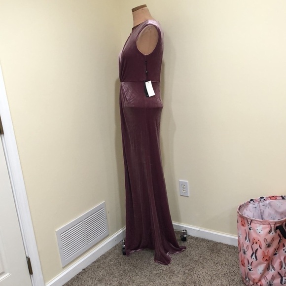 NWT Adrianna Papell Maxi Dress Size 4 Mauve Rose Pink Velvet Beaded Mermaid Gown - Picture 4 of 10